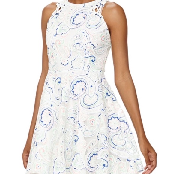 Greylin Dresses & Skirts - Greylin | Paisley Lace Up Fit & Flare Dress